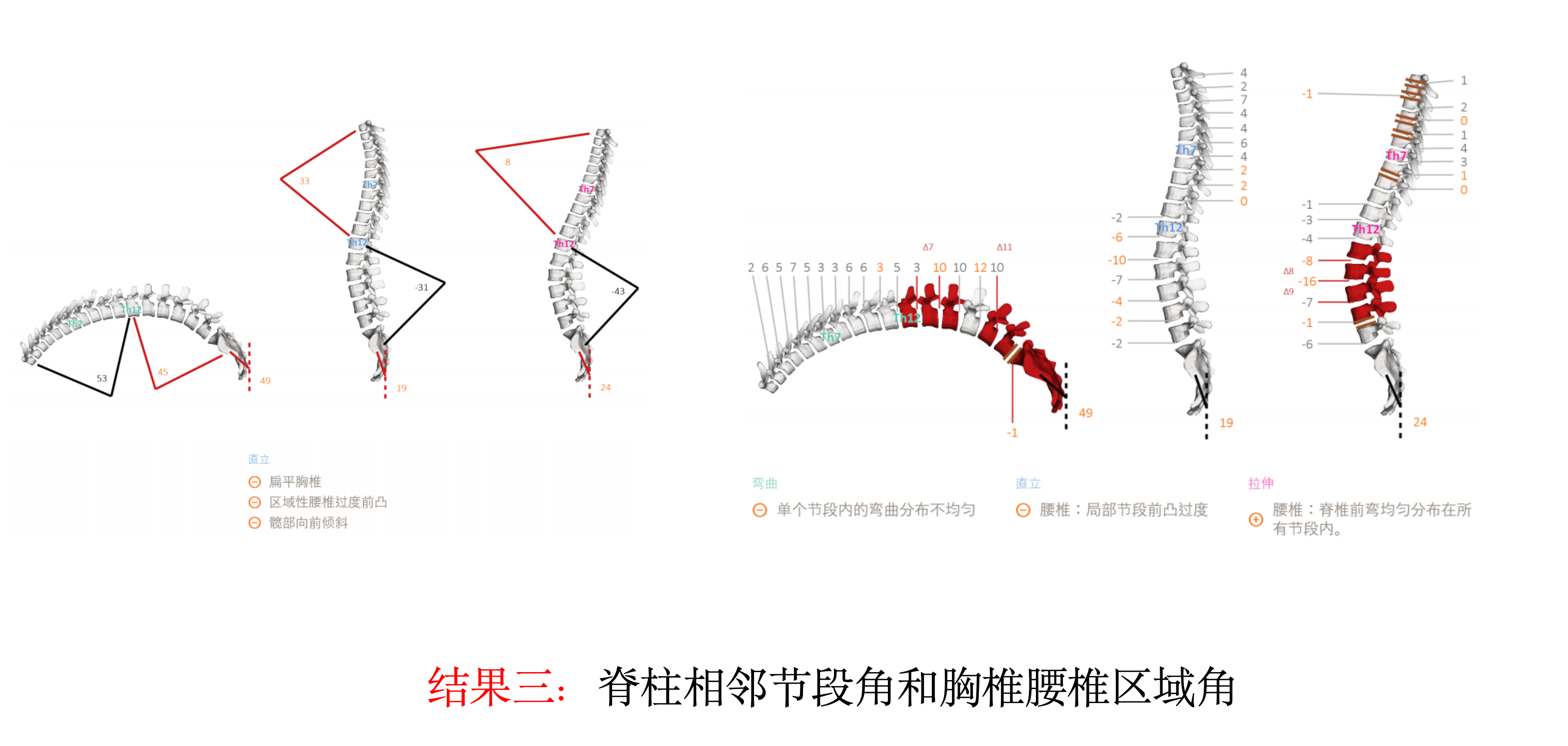 結(jié)果3相鄰節(jié)段.jpg